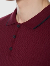 Футболки и поло Arber модель AO10.33.30 Фото