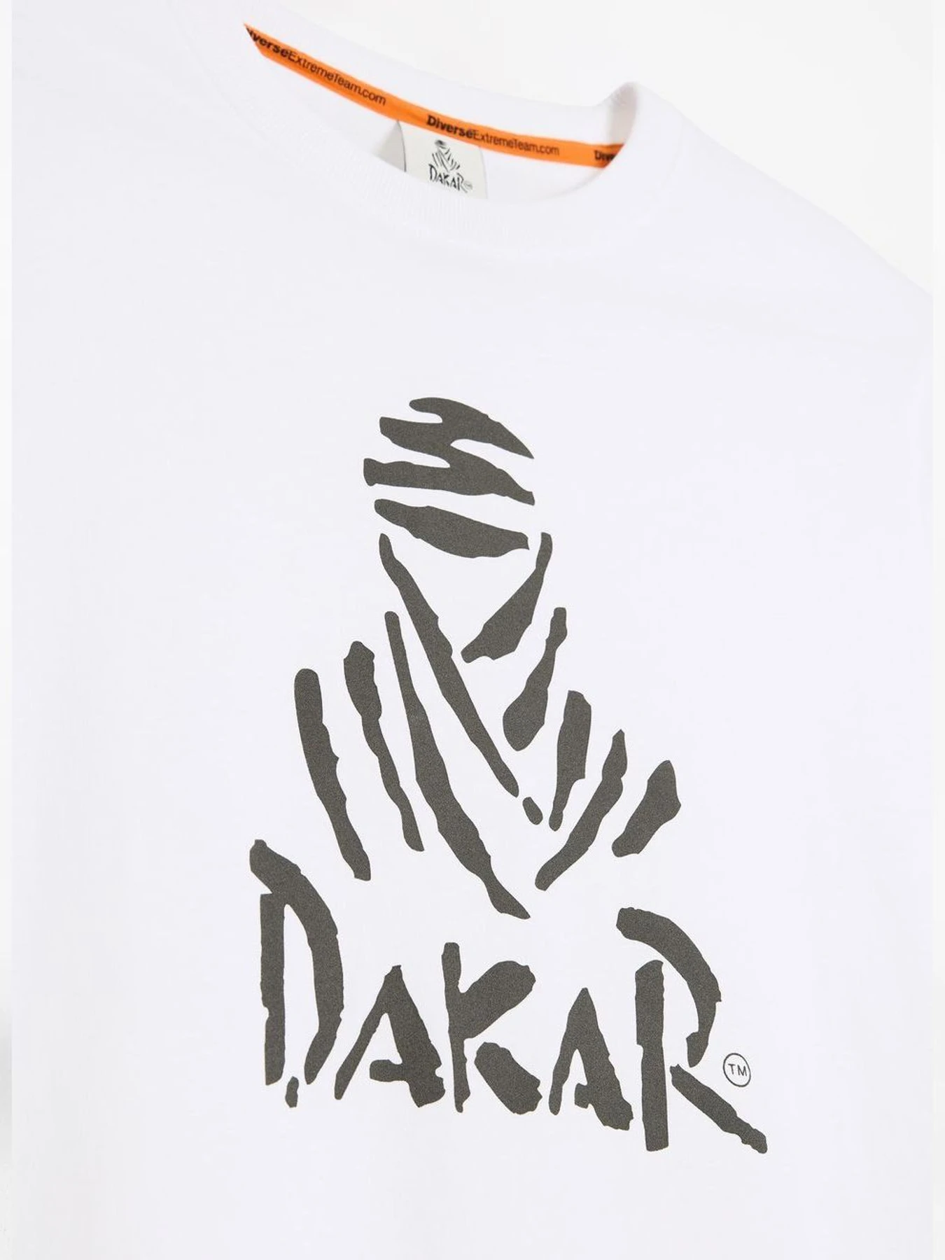 Футболки и поло DIVERSE Dkr Logo 256 модель 10048104 Футболки и поло DIVERSE Dkr Logo 256 модель 10048104 Фото