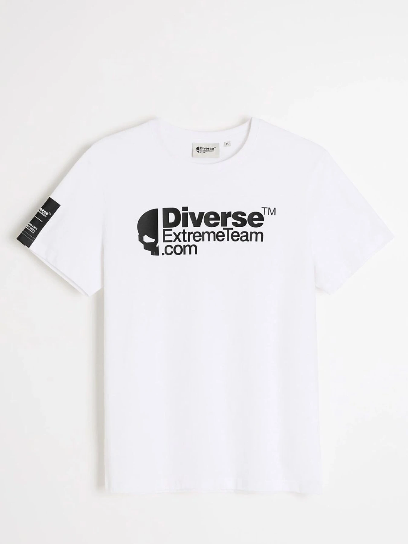 Футболки и поло DIVERSE Dext Logo T 261 модель 10048792 Фото