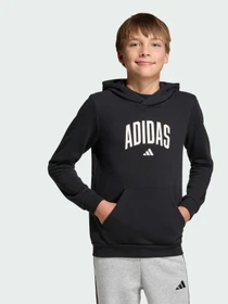Худи и свитшоты Adidas модель KA2990 Фото