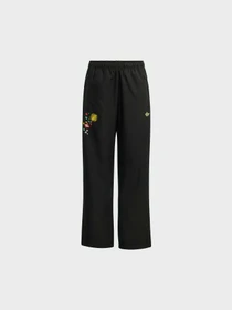 Штани Adidas Graphics модель KD5946 Фото