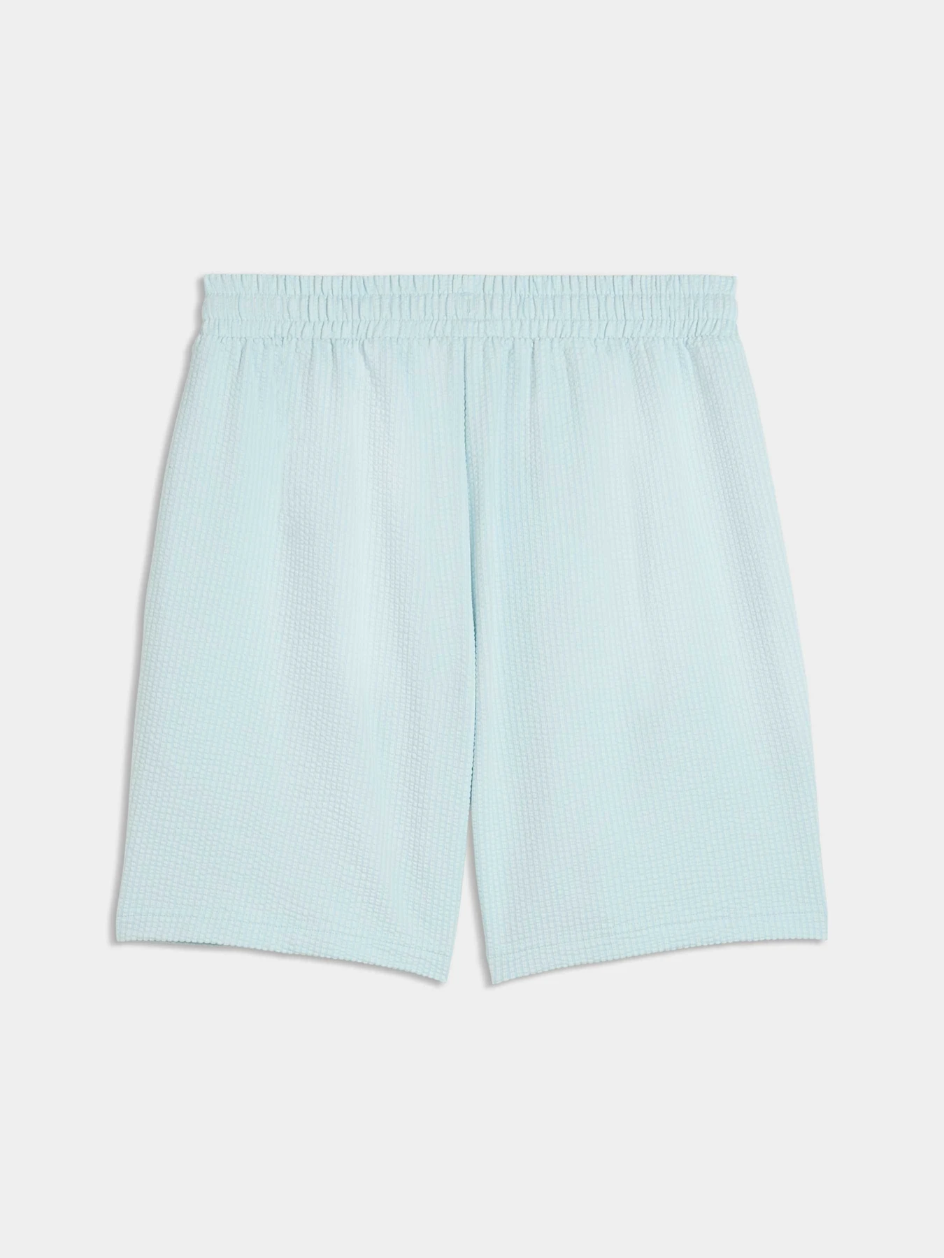 Шорты PUMA Ess Elevated Material Shorts модель 692057 Фото
