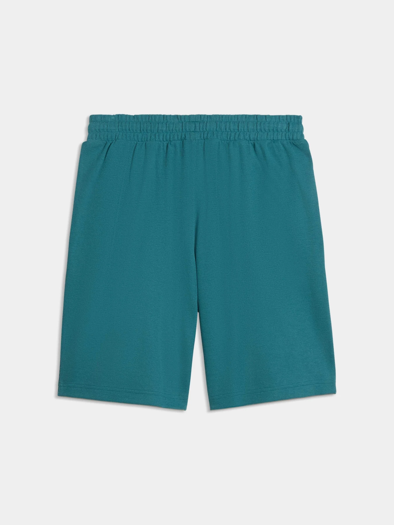 Шорты PUMA Ess Elevated Relaxed Shorts модель 692021 Шорты PUMA Ess Elevated Relaxed Shorts модель 692021 Фото