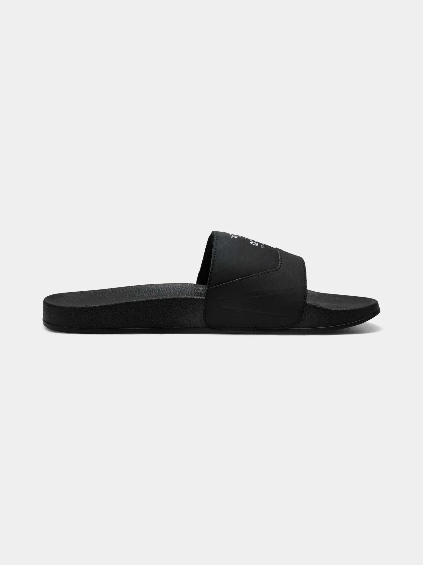 Шлёпанцы PUMA Amf1 Leadcat 2.0 Logo модель 309144 Шлёпанцы PUMA Amf1 Leadcat 2.0 Logo модель 309144 Фото