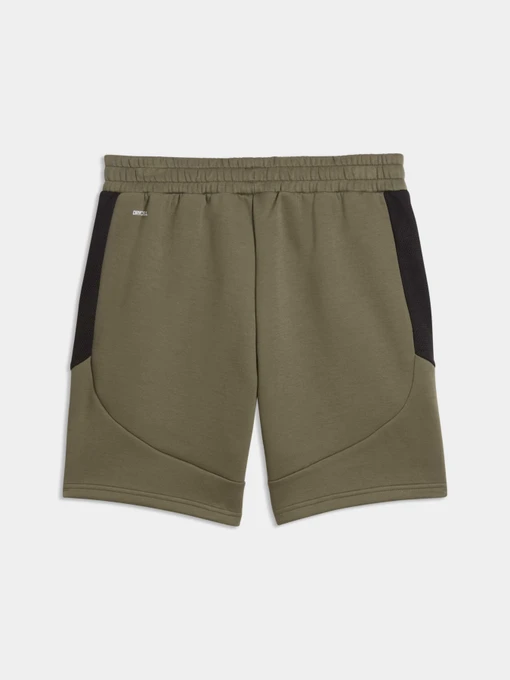 Чоловічі Повсякденні шорти PUMA Evostripe Shorts фото 2