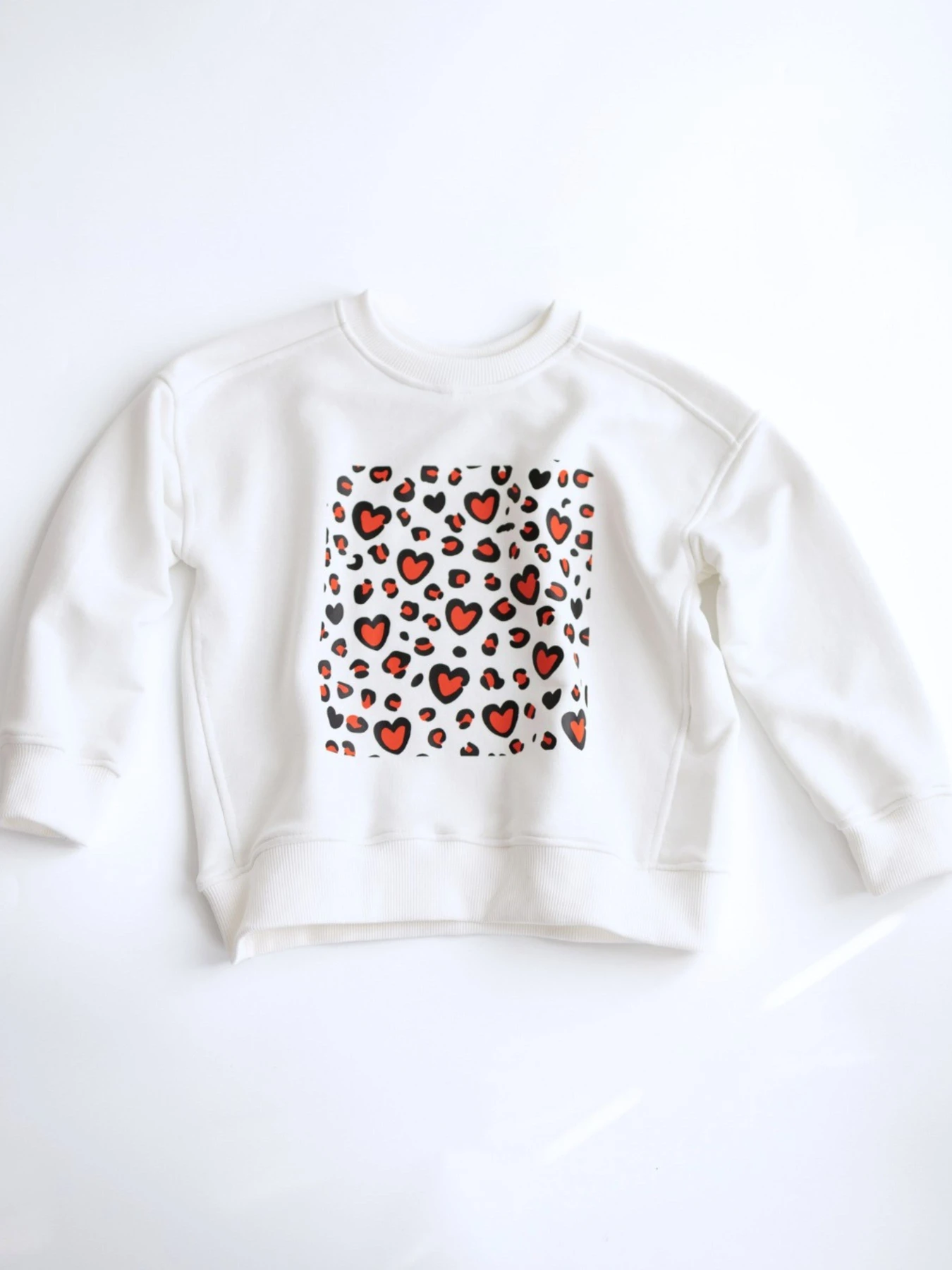 Худи и свитшоты Alwair Kids модель 81176 Фото
