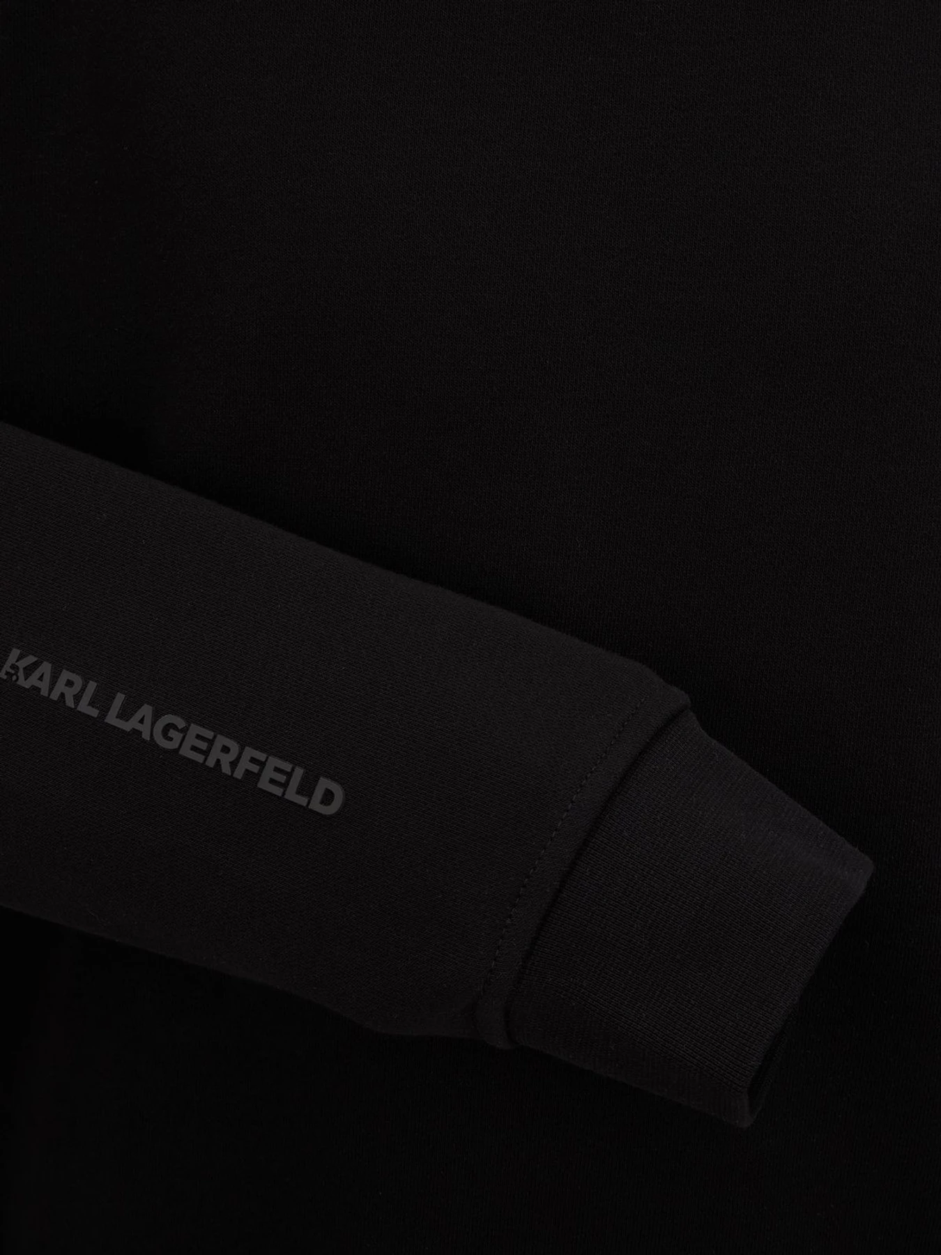 Худі та світшоти Karl Lagerfeld модель 500900.705710;990 Худі та світшоти Karl Lagerfeld модель 500900.705710;990 Фото