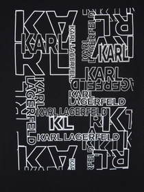 Футболки і поло Karl Lagerfeld модель 541221.755061;990 Фото