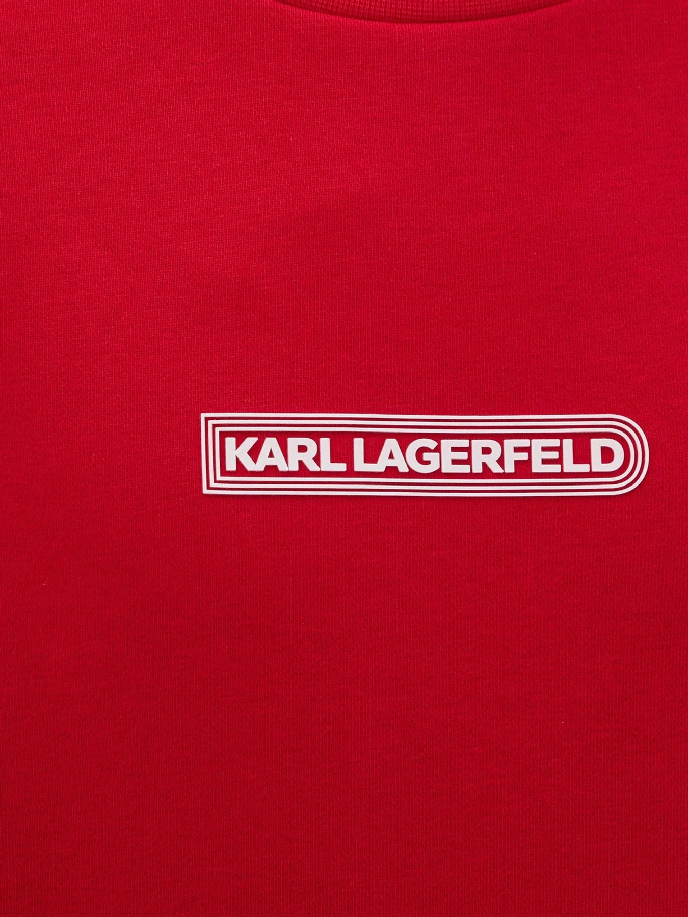 Худі та світшоти Karl Lagerfeld модель 543910.705089;350 Фото