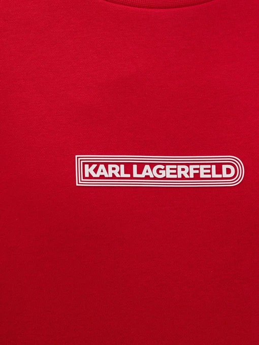 Бавовняний Чоловічий Світшот Karl Lagerfeld фото 3