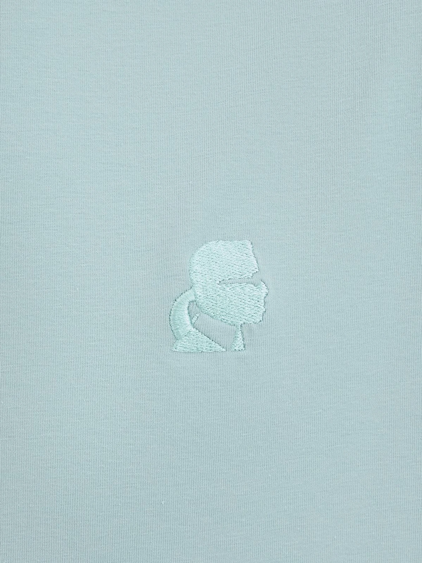 Футболки и поло Karl Lagerfeld модель 551221.755750;600 Фото