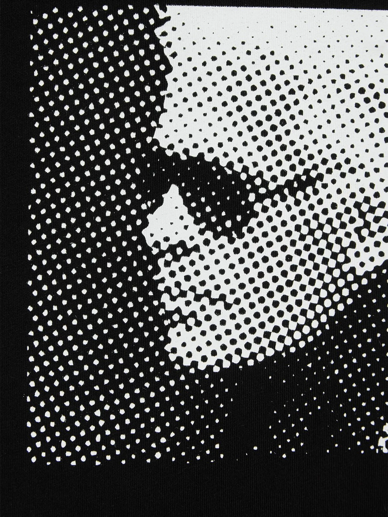 Футболки и поло Karl Lagerfeld модель 551225.755290;990 Фото