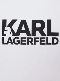 Футболки і поло Karl Lagerfeld модель 552235.755087;10 Фото