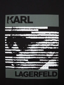 Футболки и поло Karl Lagerfeld модель 554225.755131;990 Фото