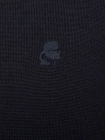 Худі та світшоти Karl Lagerfeld модель 554399.655007;690 Фото