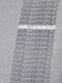Худи и свитшоты Karl Lagerfeld модель 554906.705028;941 Фото