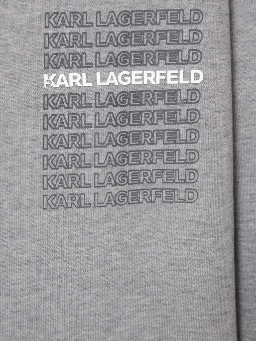 Бавовняний Чоловічий Світшот Karl Lagerfeld фото 3