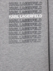 Худі та світшоти Karl Lagerfeld модель 554906.705126;941 Фото
