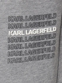 Брюки Karl Lagerfeld модель 554906.705129;941 Фото