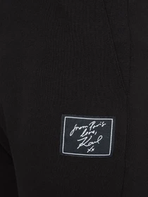 Брюки Karl Lagerfeld модель 554917.705426;990 Фото