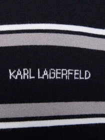 Футболки и поло Karl Lagerfeld модель 561302.655010;690 Фото