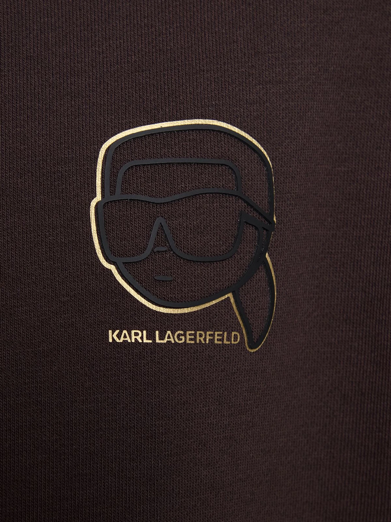 Худі та світшоти Karl Lagerfeld модель 561910.705004;490 Фото