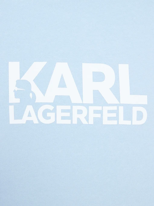 Бавовняний Чоловічий Світшот Karl Lagerfeld фото 3