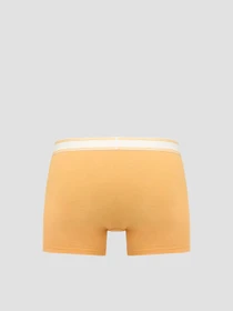 Нижня білизна Levi's модель 701232220;002 Фото
