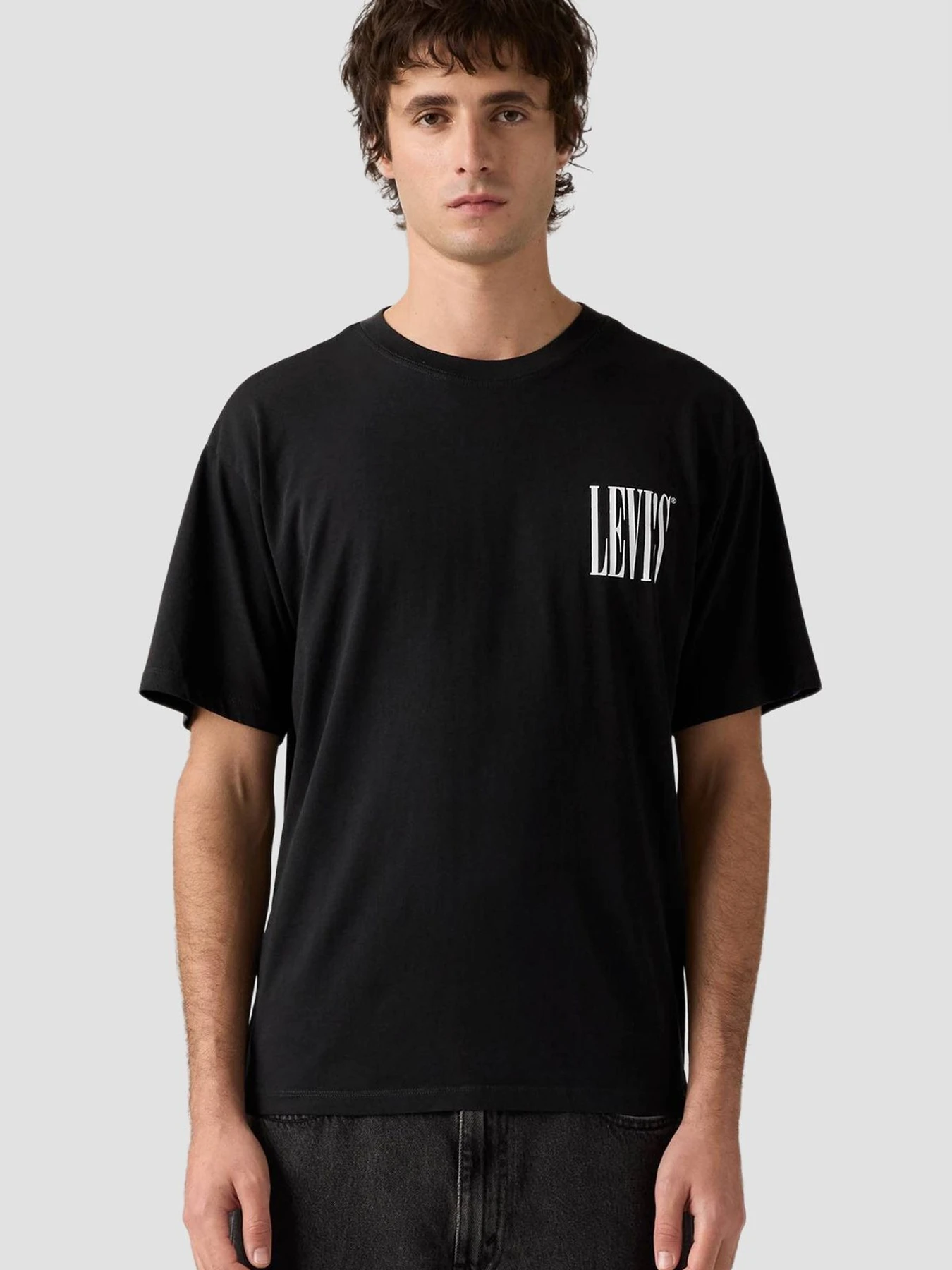 Футболки и поло Levi's модель 87373;0397 Футболки и поло Levi's модель 87373;0397 Фото