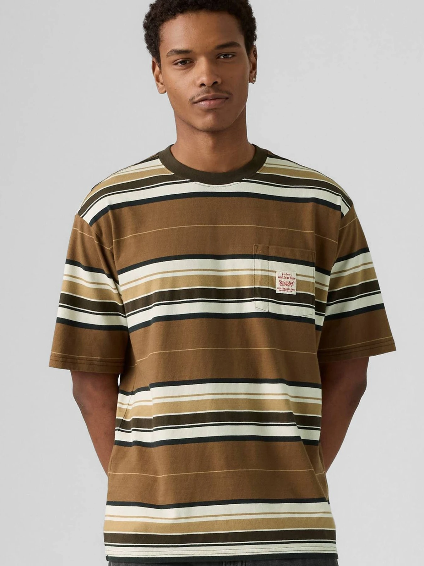 Футболки и поло Levi's модель A5850;0019 Футболки и поло Levi's модель A5850;0019 Фото
