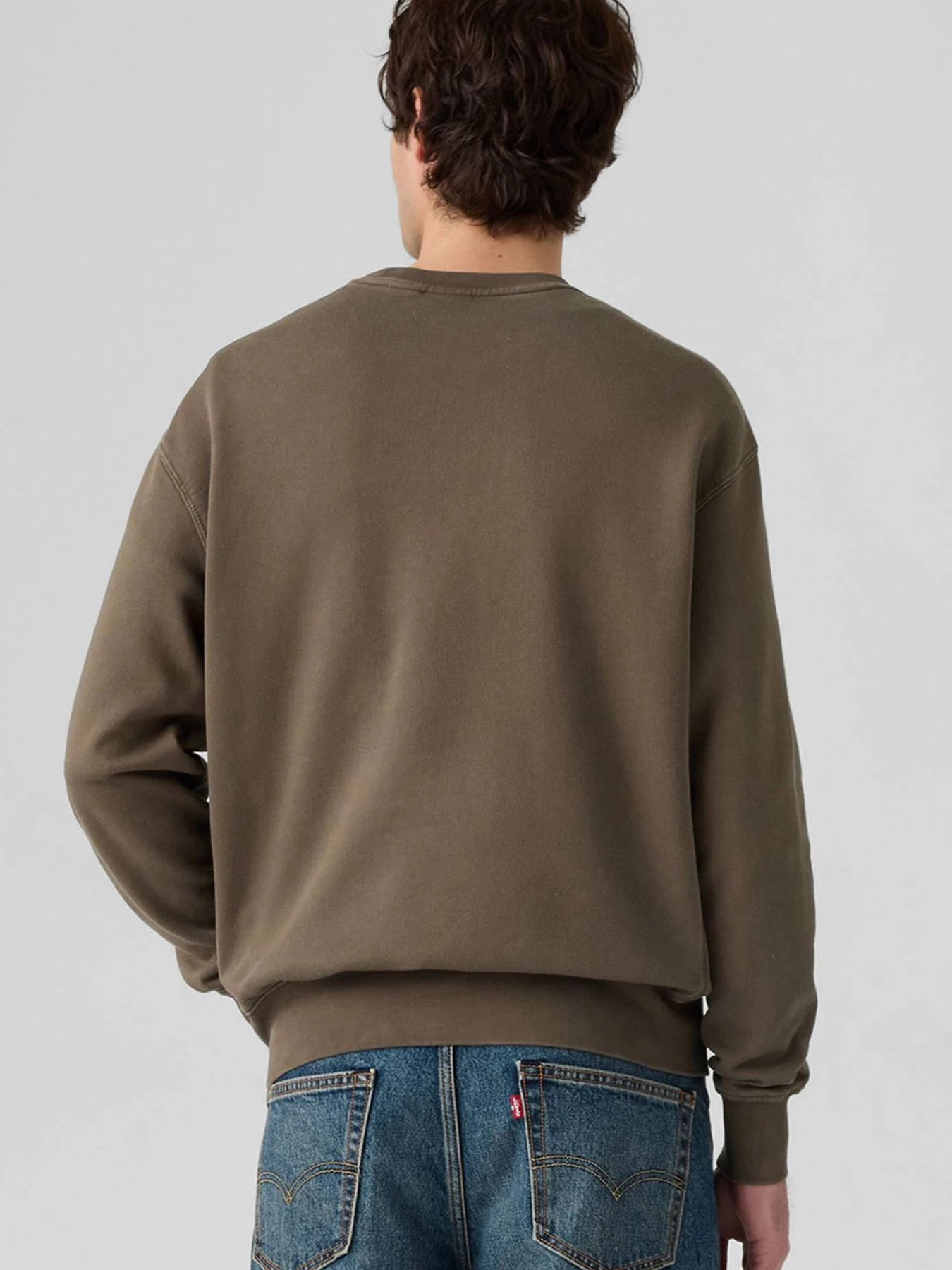 Худі та світшоти Levi's модель A9244;0034 Фото