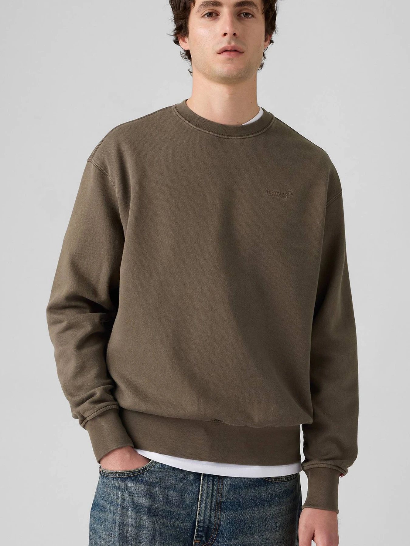 Худі та світшоти Levi's модель A9244;0034 Фото