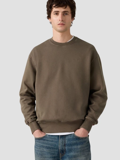 Худі та світшоти Levi's модель A9244;0034 Фото