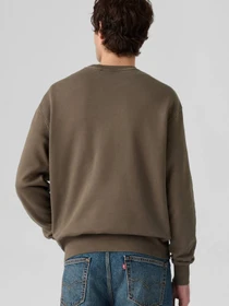 Худі та світшоти Levi's модель A9244;0034 Фото
