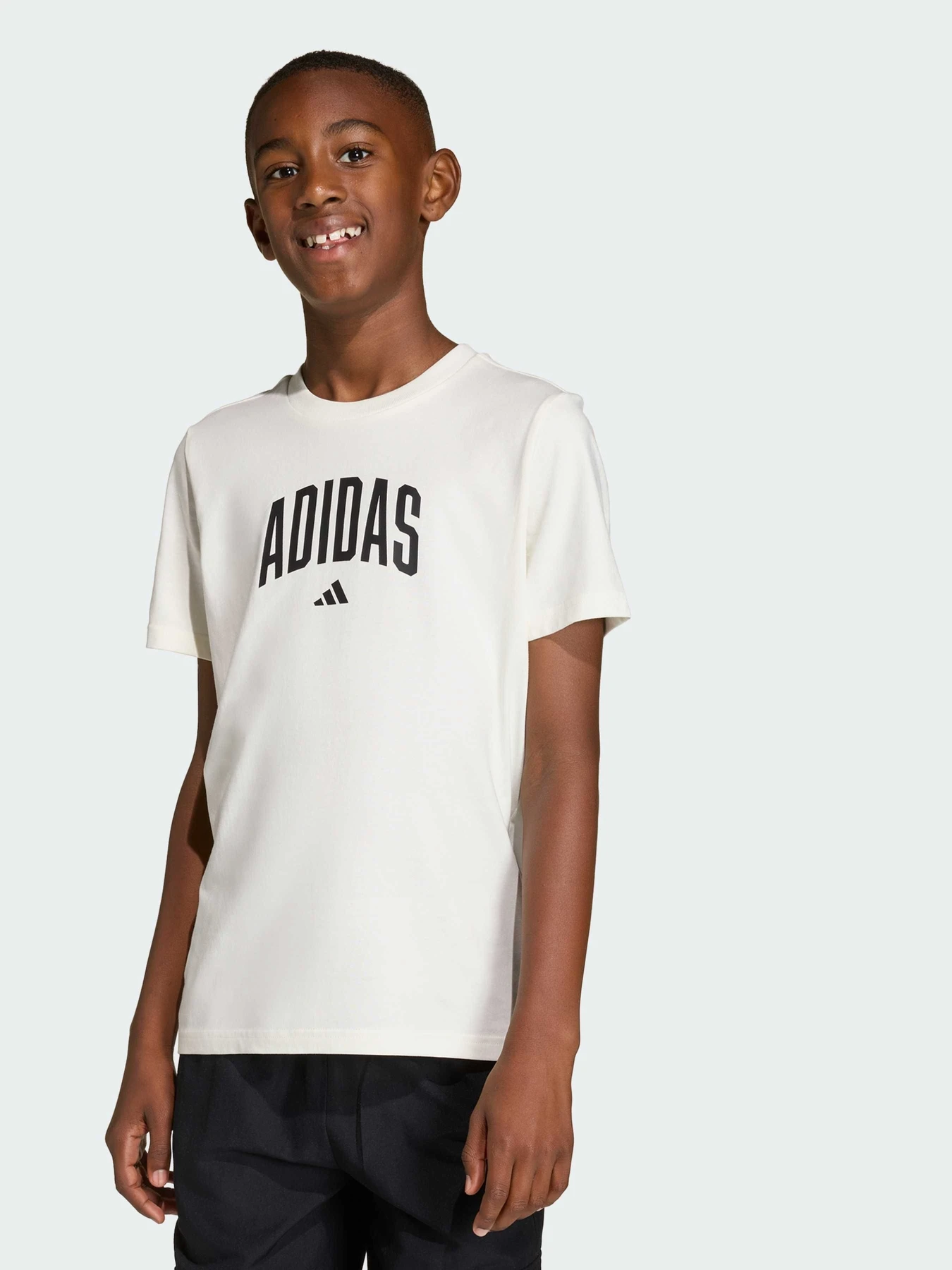 Футболки и поло Adidas модель KE1347 Футболки и поло Adidas модель KE1347 Фото