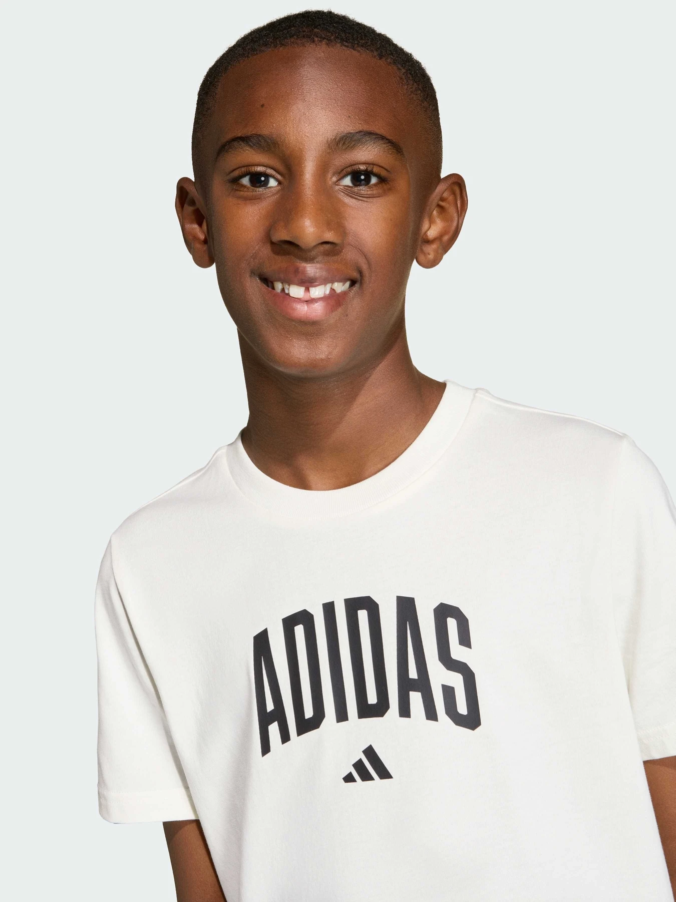 Футболки и поло Adidas модель KE1347 Футболки и поло Adidas модель KE1347 Фото