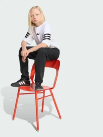 Брюки Adidas 3 Stripes модель KS2570 Фото