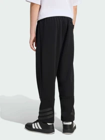 Брюки Adidas 3 Stripes модель KS2570 Фото