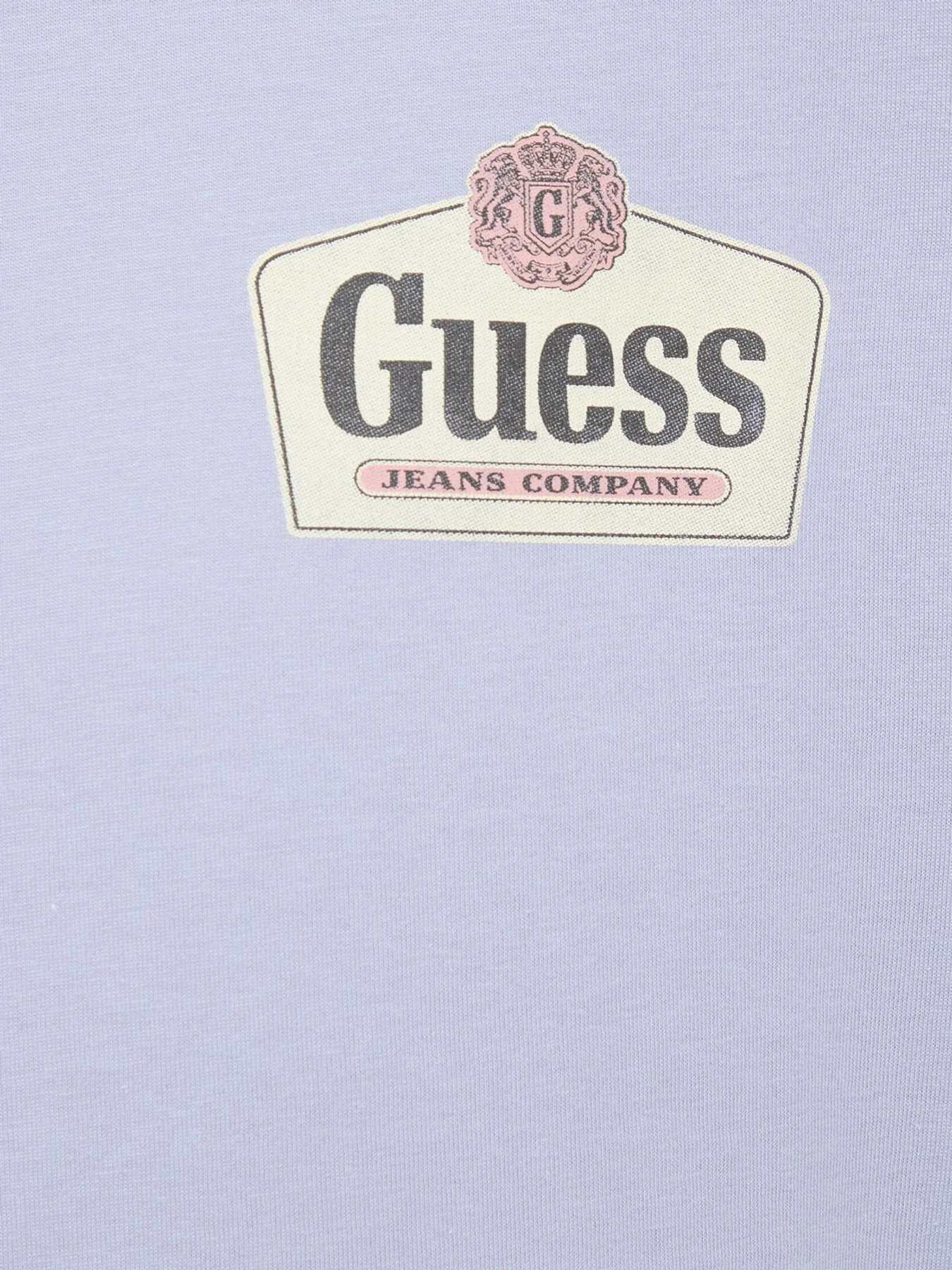 Футболки і поло Guess Jeans модель M6RI38.K8HM0;G4T8 Фото