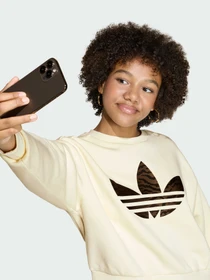 Худи и свитшоты Adidas Graphics модель KD3258 Фото