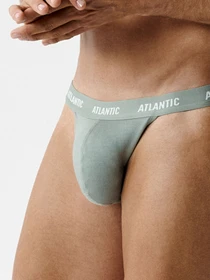 Нижнее белье Atlantic модель 3MP-1576_GRA_ZIEJ_GRAC Фото