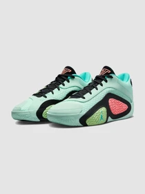 Кросівки NIKE модель FJ6457-300 Фото