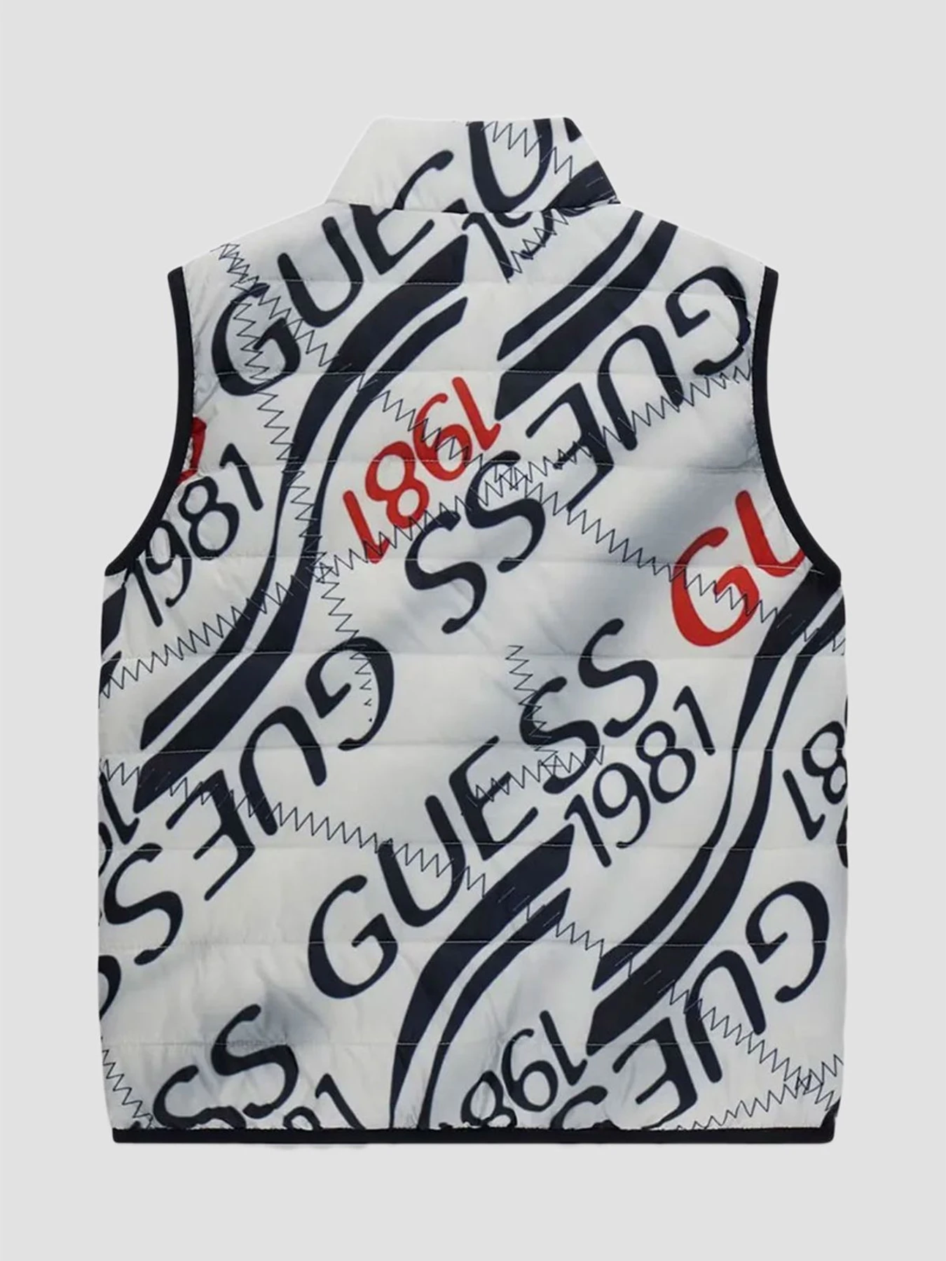 Куртки и дубленки GUESS Kids модель L6RL15.WCFM2;P51L Фото