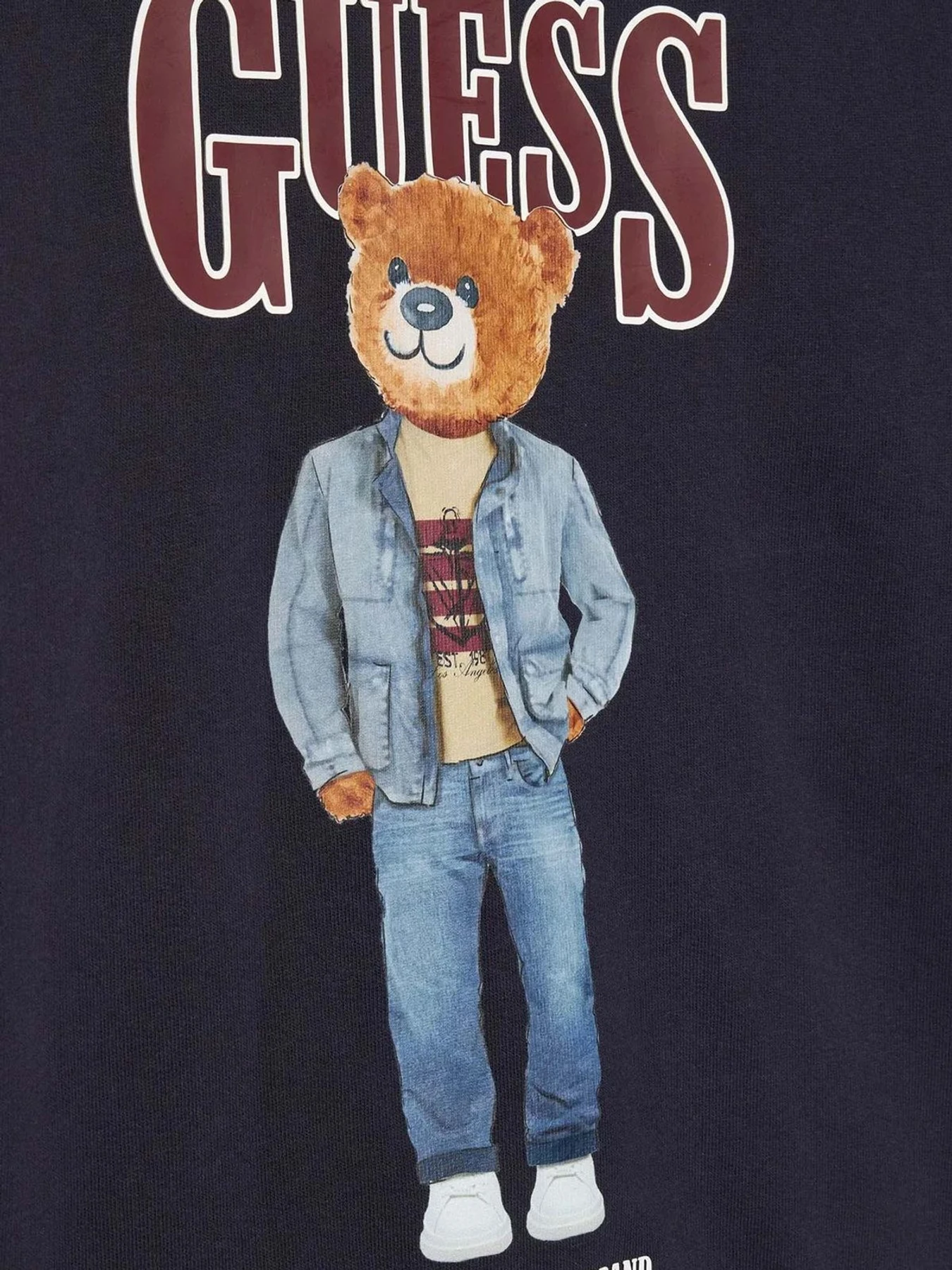 Худи и свитшоты GUESS Kids модель L6RQ05.KAD74;G7V2 Фото
