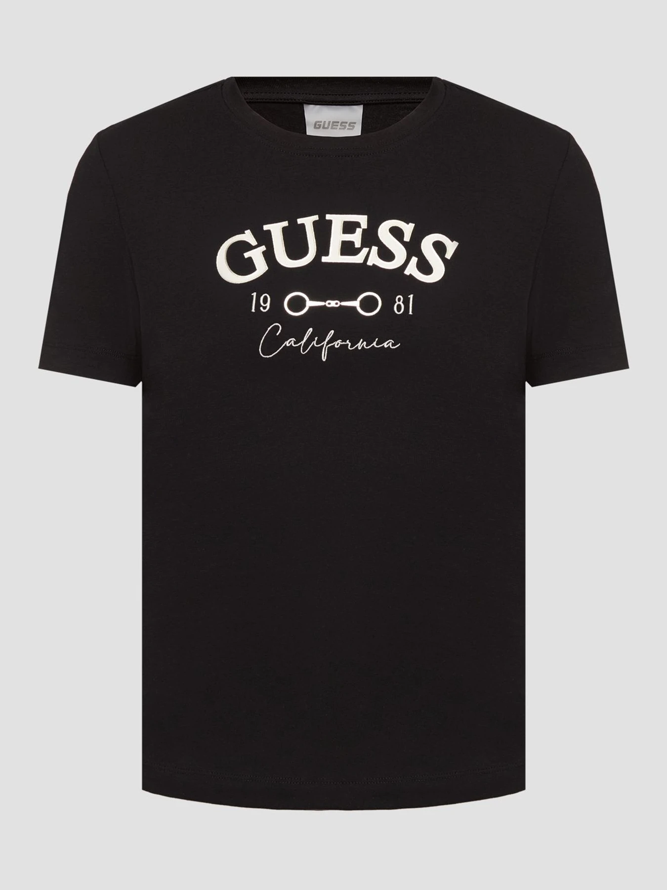 Футболки и поло GUESS модель V6RI02.J1314;JBLK Фото