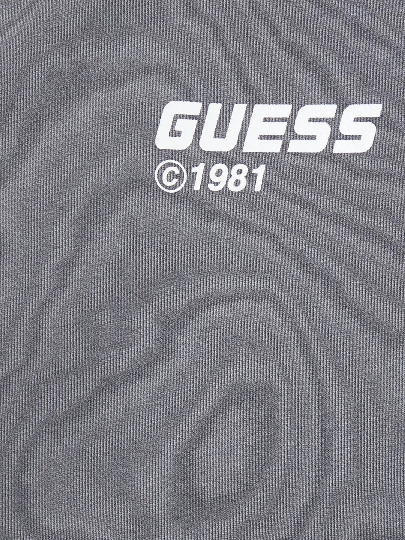 Худи и свитшоты GUESS модель Z6RQ11.KD371;A90L Фото