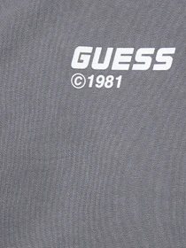 Худи и свитшоты GUESS модель Z6RQ11.KD371;A90L Фото
