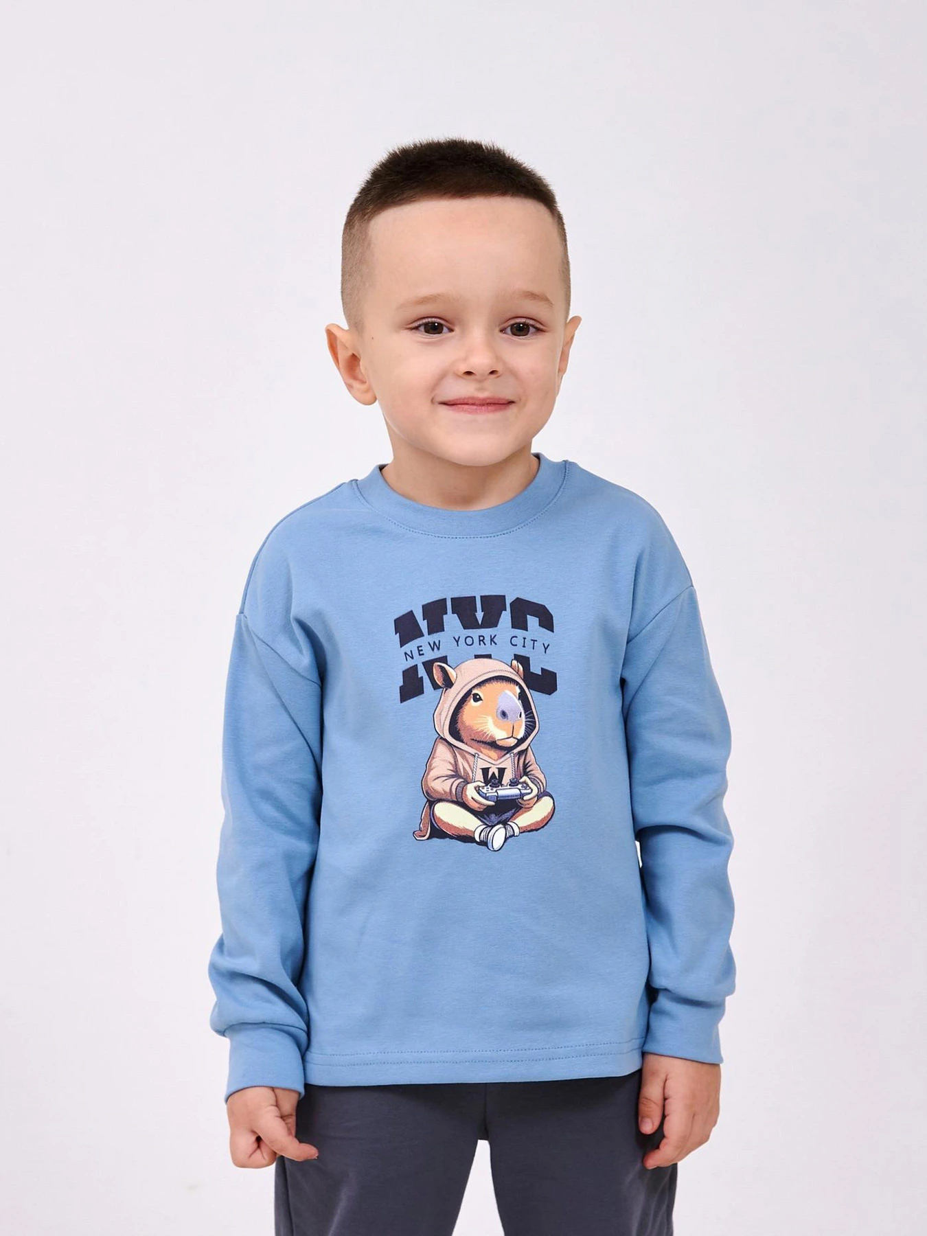 Худи и свитшоты SMIL модель smil_116750-1-pepelno-goluboj Фото