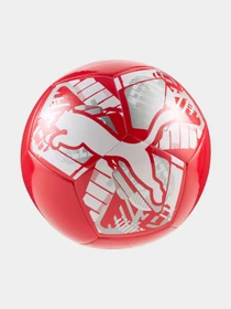 Мячи PUMA Big Cat Ball модель 084937 Фото