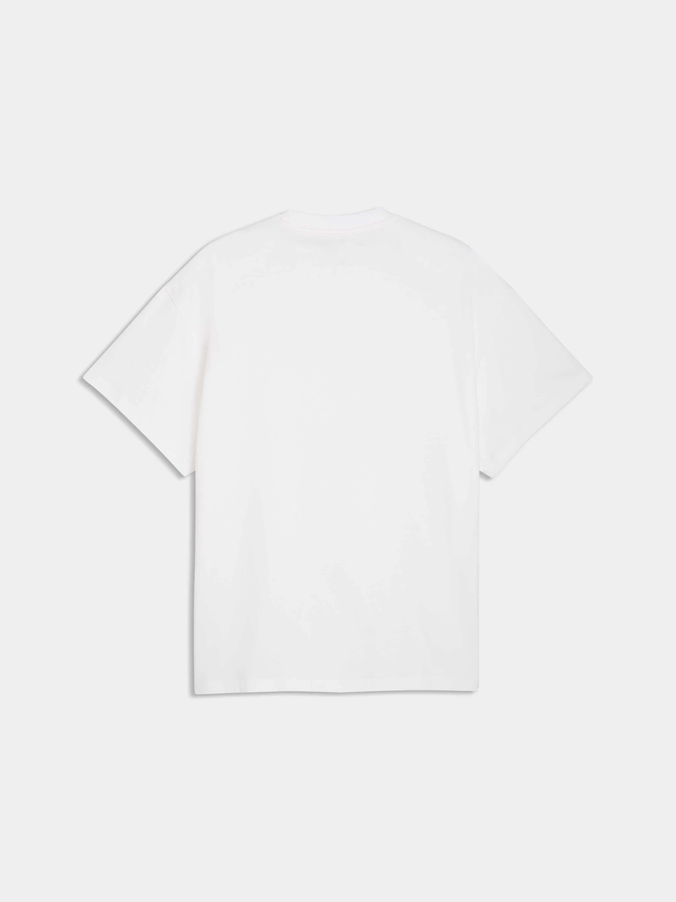 Футболки и поло PUMA The Atw Dylan Tee Iiiii модель 635060 Футболки и поло PUMA The Atw Dylan Tee Iiiii модель 635060 Фото